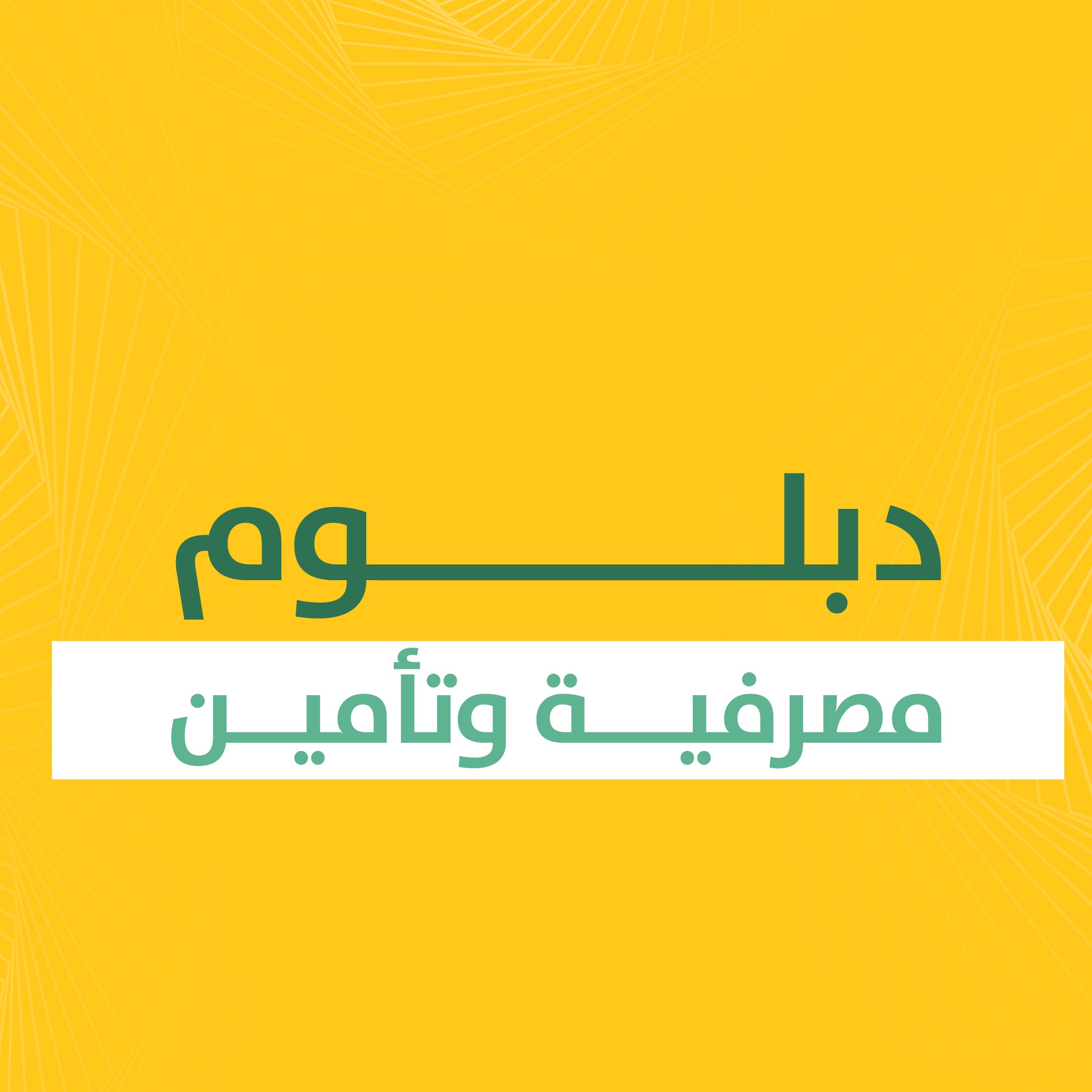 الدبلوم الغير مهني