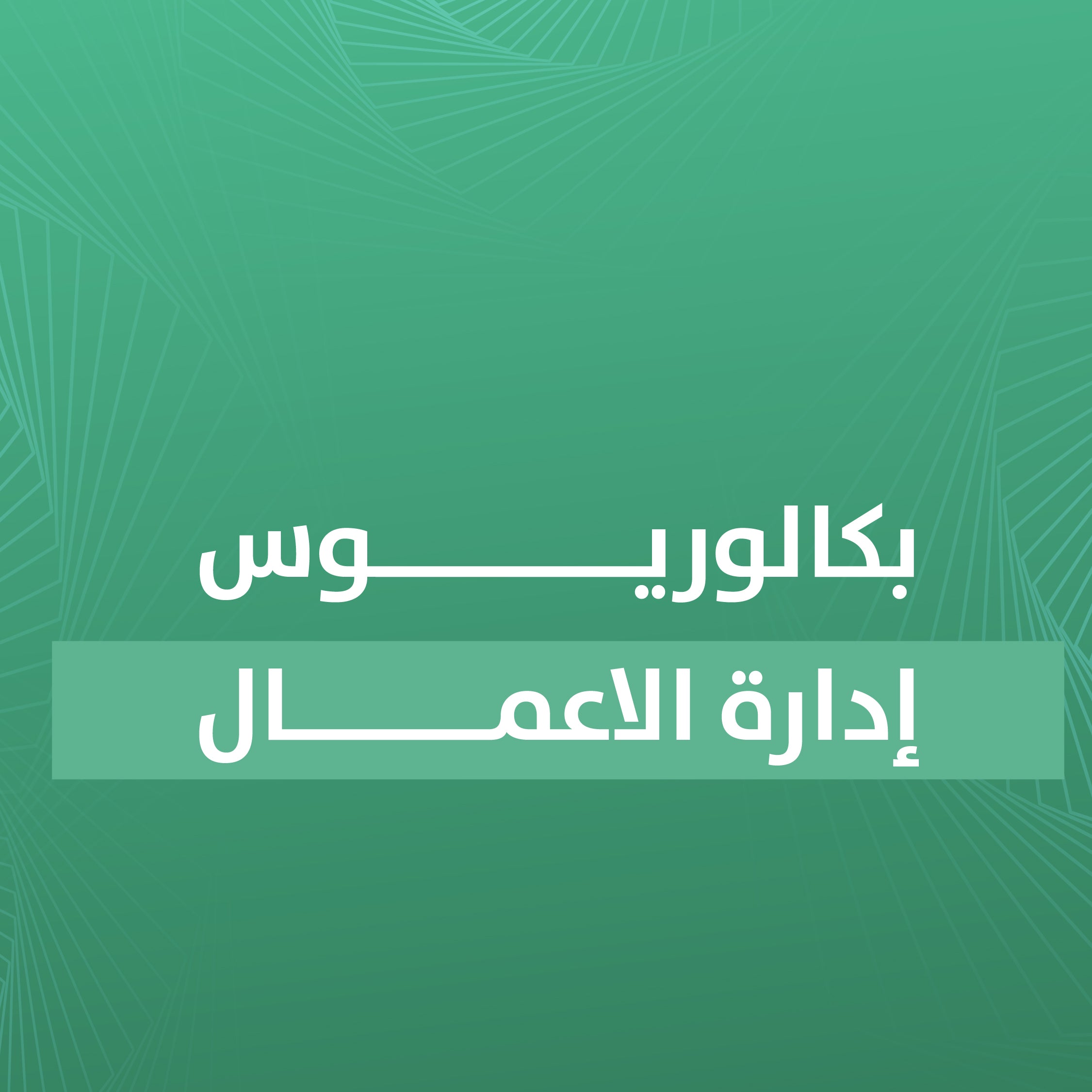 Bachelor of Business Administration